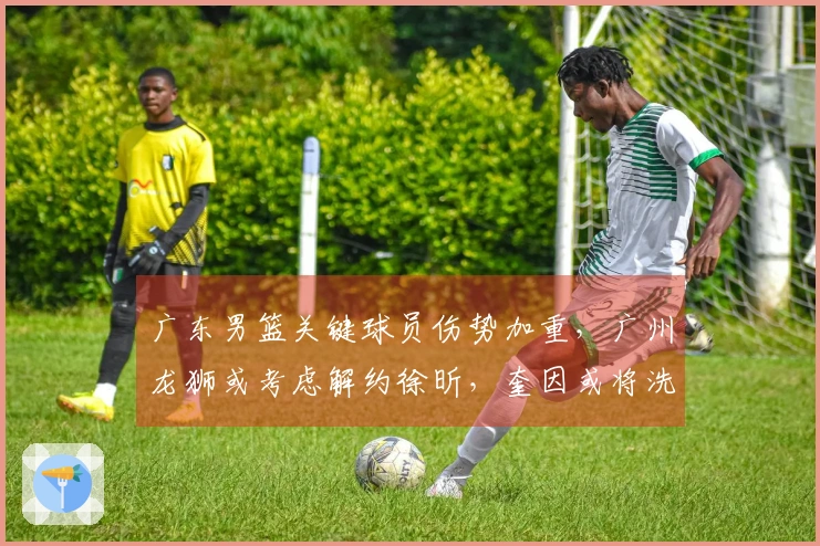 广东男篮关键球员伤势加重，广州龙狮或考虑解约徐昕，奎因或将洗清负面评价